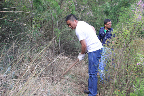 我為黨旗增光輝——公司機關黨支部組織開展鋤草促長活動