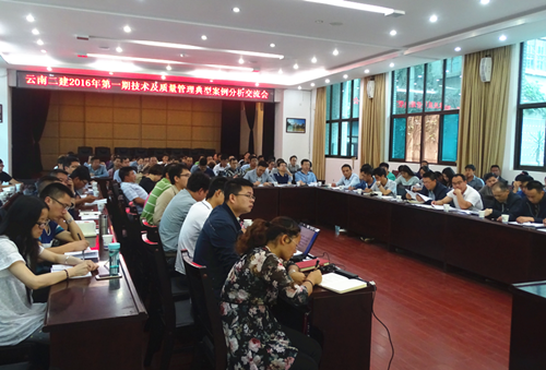 公司組織召開(kāi)技術(shù)質(zhì)量管理典型案例分析交流會(huì)