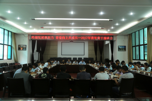 跨越發(fā)展敢擔(dān)當(dāng)，青春向上共成長(zhǎng)—公司召開(kāi)2017年青年骨干座談會(huì)
