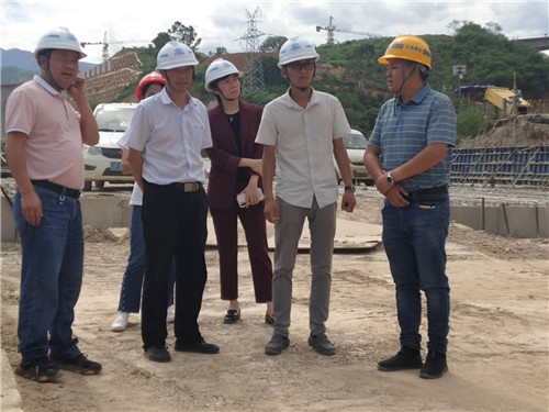 陳定華、胡云紅調研元蔓高速（玉溪段）一分部