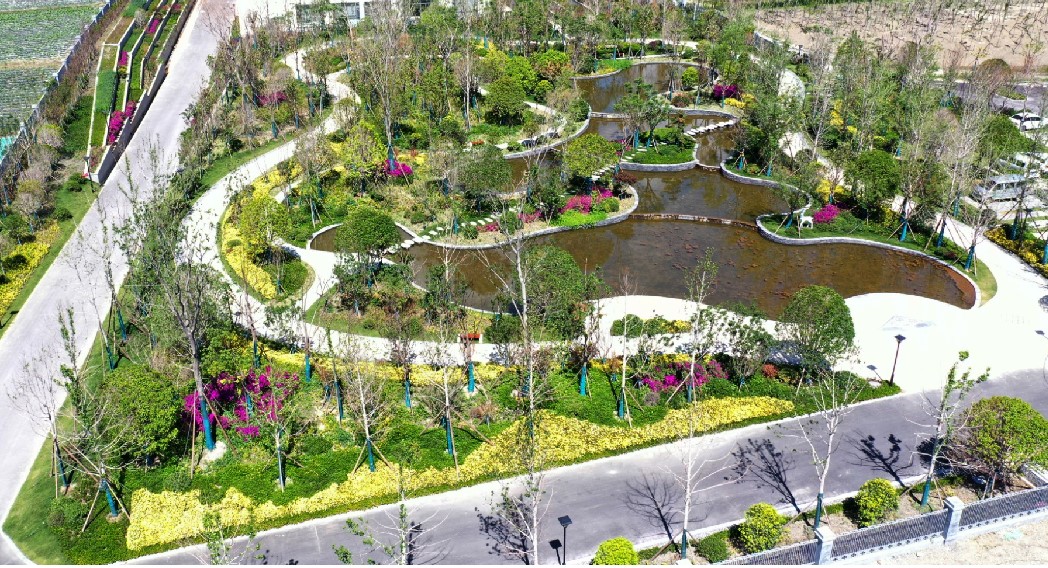 大理濕地公園項目