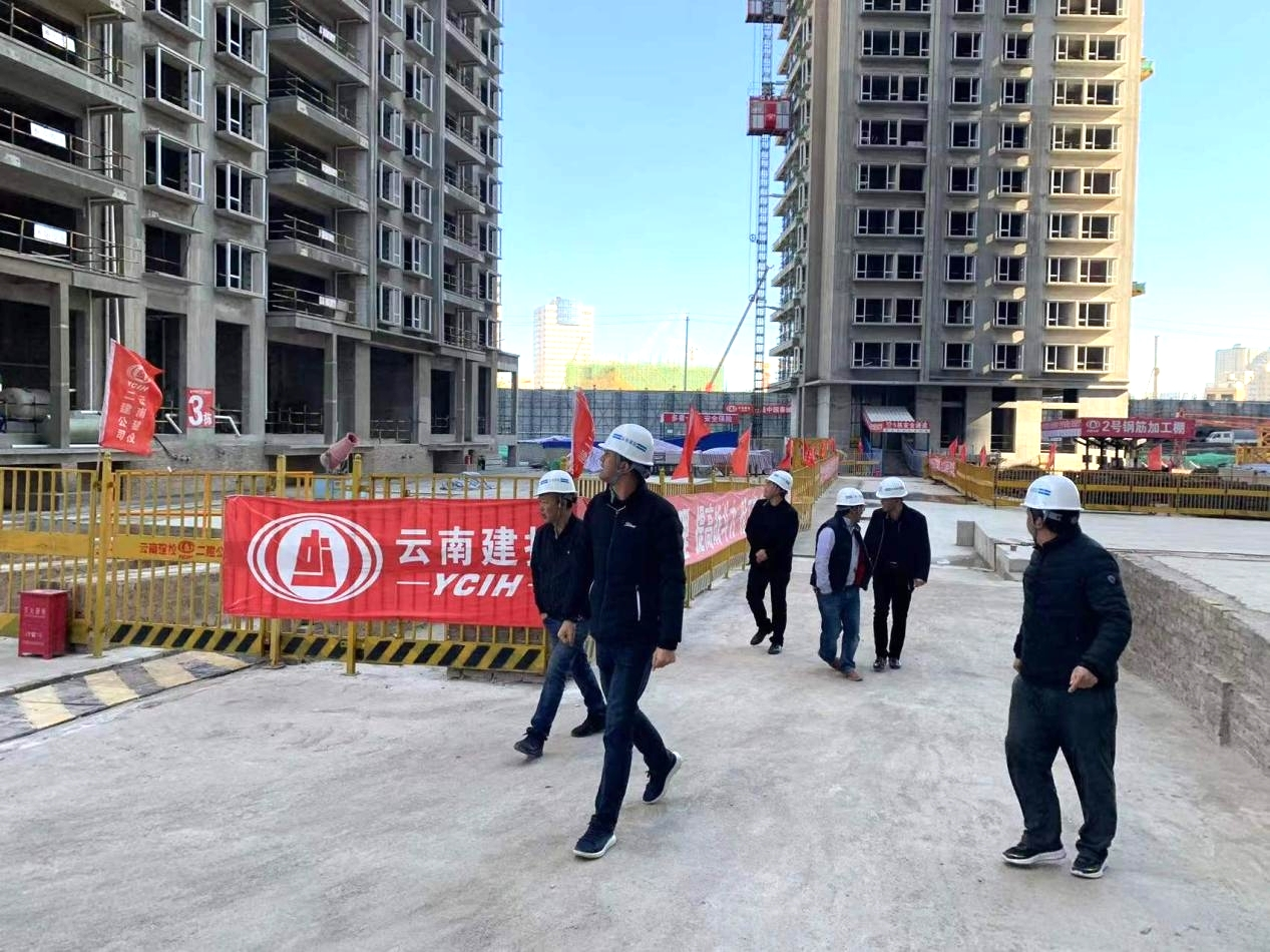 【我為群眾辦實(shí)事】公司領(lǐng)導(dǎo)調(diào)研華潤(rùn)潤(rùn)府小區(qū)項(xiàng)目